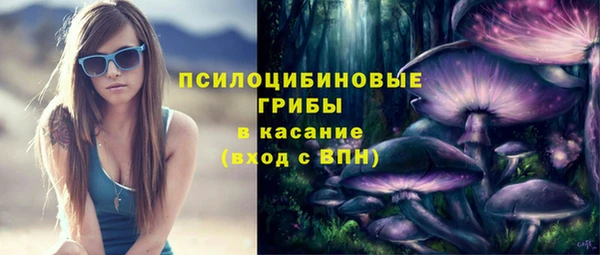 синтетический гашиш Белокуриха