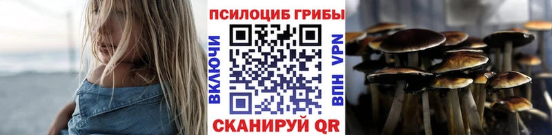 закладка  Горняк  Псилоцибиновые грибы Psilocybe 